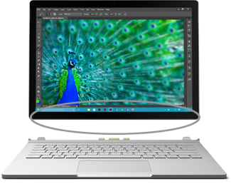 Vị trí của số sê-ri trên Surface Book tạm