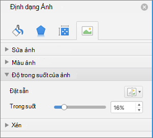 Điều chỉnh độ trong suốt của màu trong ngăn Định dạng Ảnh