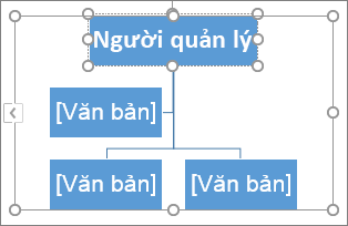 Nhập vào một hộp trong đồ họa SmartArt