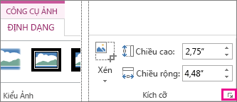 Công cụ Khởi động Hộp thoại trong nhóm Kích cỡ trên tab Định dạng Công cụ Ảnh
