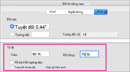 Trên tab Kích cỡ trong hộp Bố trí Nâng cao, các tùy chọn Co giãn được tô sáng.