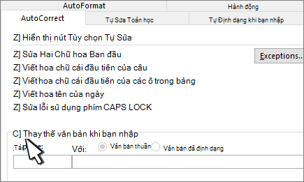 Thay thế khi bạn nhập hộp kiểm trên tab Tự sửa