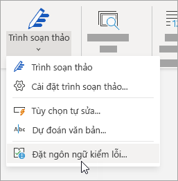 Trên tab Xem lại, bấm vào Thiết đặt Ngôn ngữ > Kiểm lỗi của Trình soạn thảo