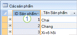 Ảnh cho thấy bảng Sản phẩm với trường khóa chính.