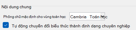 Hộp kiểm Tự động chuyển đổi biểu thức sang định dạng chuyên nghiệp trong tài liệu word