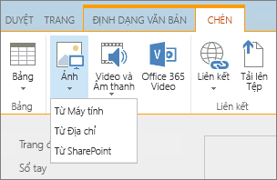 Ảnh chụp màn hình dải băng SharePoint Online. Chọn tab Chèn, rồi chọn Ảnh để chọn có tải lên một tệp từ máy tính của bạn, địa chỉ web hoặc vị trí SharePoint hay không.