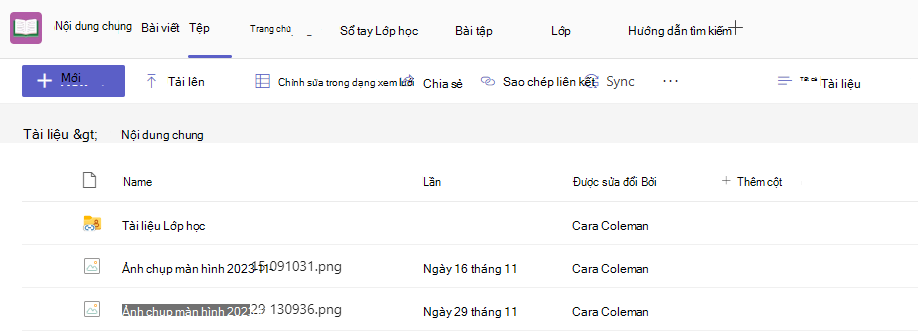 Ảnh chụp màn hình tệp.