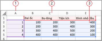 Các trường dữ liệu trong khóa