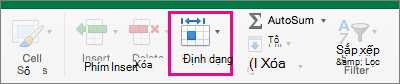 Trên tab Nhà, Định dạng được tô sáng