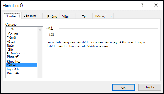 Hộp thoại Định dạng Ô hiển thị tab Số và tùy chọn Văn bản được chọn