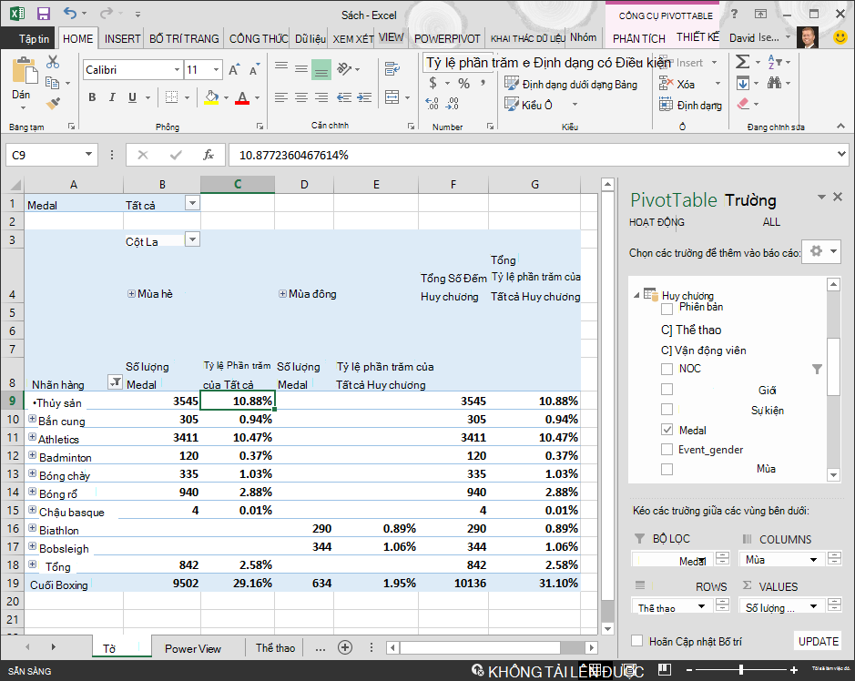 PivotTable hiển thị dữ liệu phần trăm