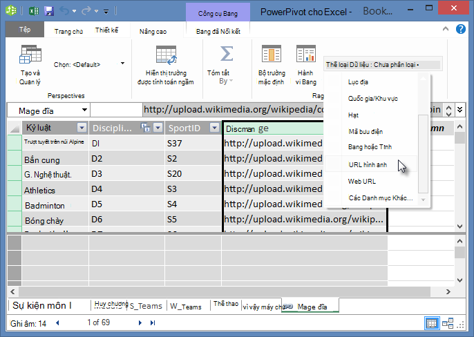 Đặt Thể loại Dữ liệu trong PowerPivot