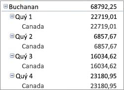 PivotTable dưới dạng biểu mẫu nén