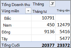 Ví dụ về báo cáo PivotTable
