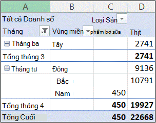 Ví dụ về báo cáo PivotTable