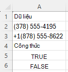 Sử dụng REGEXTEST để kiểm tra xem số điện thoại có cú pháp cụ thể hay không, với mẫu ^\([0-9]{3}\) [0-9]{3}-[0-9]${4}