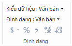 Kiểu dữ liệu trong ribbon