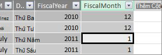 Cột Fiscal Month