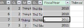 Cột Fiscal Year