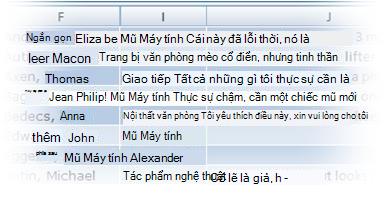 Các bản ghi tài sản đã nhập trong bảng Excel