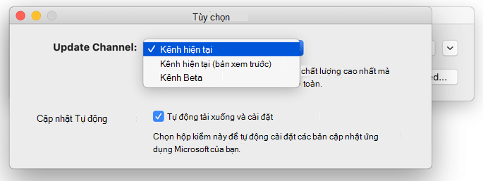Ảnh Microsoft AutoUpdate trên máy Mac - cửa sổ> Tùy chọn hiển thị các lựa chọn cập nhật kênh.
