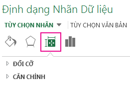 Biểu tượng và ngăn Định dạng Kích thước Nhãn Dữ liệu & Thuộc tính