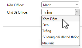 Ảnh chụp màn hình các lựa chọn chủ đề Office.