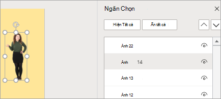 Hiển thị ngăn Chọn