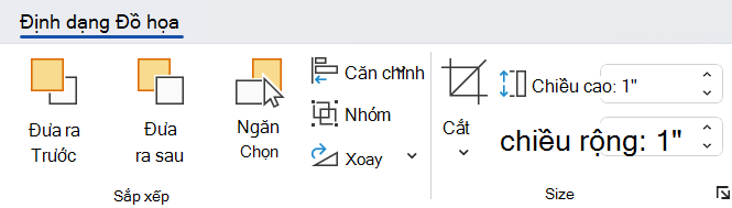 Các tùy chọn trên tab Định dạng đồ họa sẽ giúp bạn tùy chỉnh hình ảnh của mình.