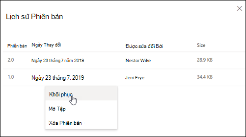 Ngăn Lịch sử Phiên bản