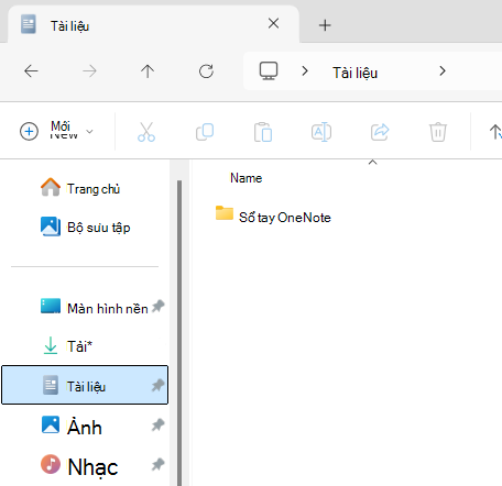 Thư mục Tài liệu hiển thị thư mục con OneNote Notebook.