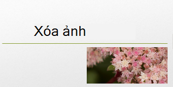 Ảnh mà bạn đã chọn sẽ bị xóa.