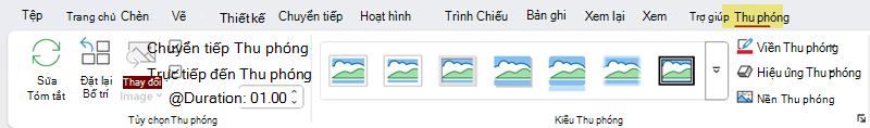 Tab Thu phóng với nhóm Tùy chọn Thu phóng và Kiểu Thu phóng