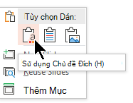 Bên dưới Tùy chọn Dán, chọn tùy chọn đầu tiên, Sử dụng Chủ đề Đích