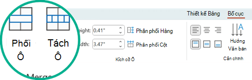 Các lệnh Phối Ô và Tách Ô nằm trên tab Bố trí trong PowerPoint.