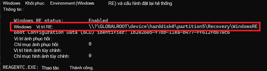 Lệnh Thông tin REAgentC
