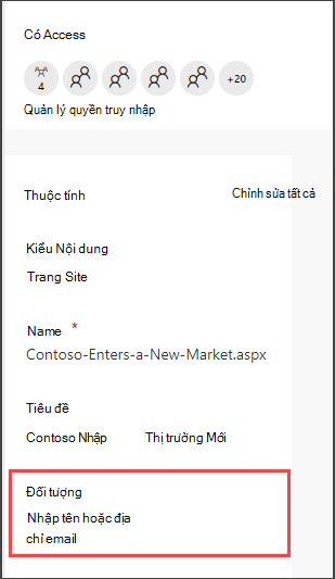 Ngăn chi tiết trang với tùy chọn để nhập người xem