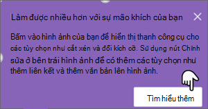 ảnh liên kết tìm hiểu thêm