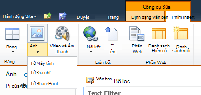 Bấm vào nút ảnh trên dải băng, rồi chọn từ máy tính, địa chỉ hoặc SharePoint.