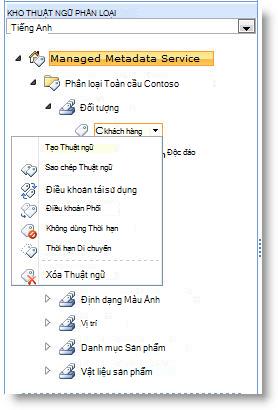 Sử dụng menu để quản lý các thuật ngữ trong một tập hợp thuật ngữ.