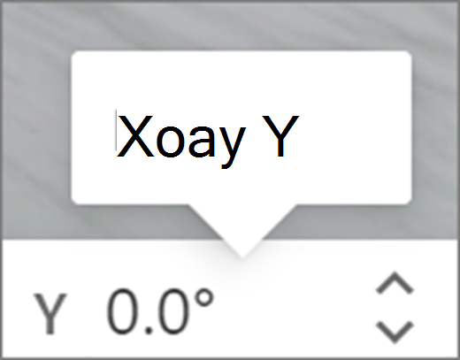 Y