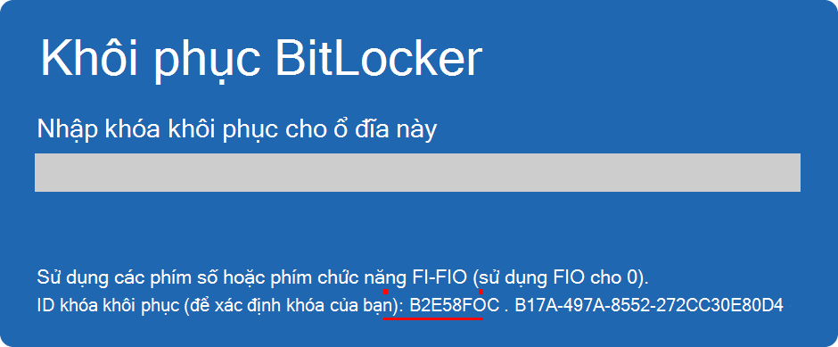 Ảnh chụp màn hình khôi phục BitLocker tô sáng ID khóa.
