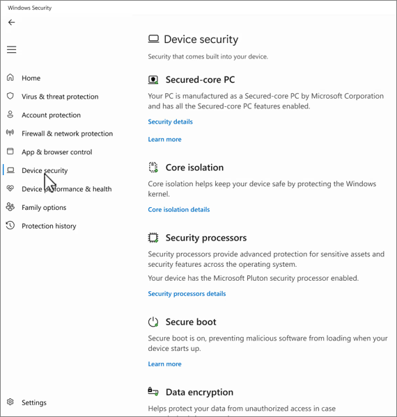 Ảnh chụp màn hình của màn hình bảo mật thiết bị trong ứng Bảo mật Windows này.