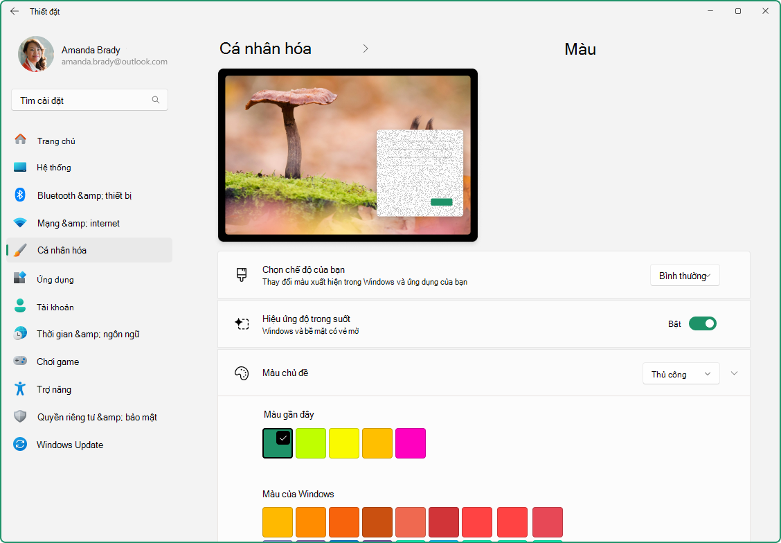Screenshot of the Settings app showing the option to customize accent colors.