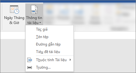 Ảnh chụp màn hình hiển thị Thông tin Tài liệu và & Thời gian thực trên Word băng