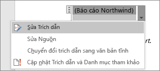 Các tùy chọn sẵn có trong một câu trích dẫn được hiển thị