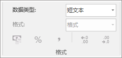 显示数据类型字段的屏幕片段