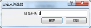 “自定义筛选器”对话框，其中输入了字母 L。
