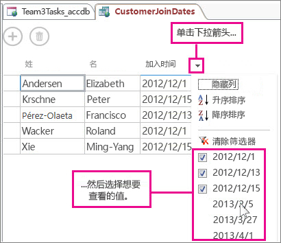 在 Access 应用程序中的查询中筛选列。