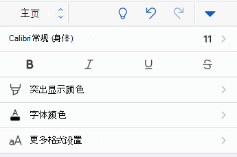 Word for iOS 中的字体格式设置选项。